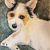 My final project for course: Expressive Animal Portraits in Watercolor. Watercolor Painting, Traditional illustration, Realistic Drawing, and Naturalistic Illustration project by kwestonarts - 05.10.2023