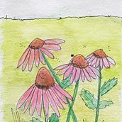 Coneflowers. Un proyecto de Artesanía de Shelley Work - 26.03.2023