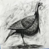 My project for course: Animal Illustration with Charcoal and Ink. Fine Arts, Drawing, Ink Illustration, and Naturalistic Illustration project by mikeramsey - 03.25.2023