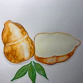 Mi proyecto del curso: Técnicas aplicadas de ilustración en acuarela (Mis Provolones). Ilustração tradicional, Artes plásticas, Pintura, e Pintura em aquarela projeto de Marlen R. Espinoza - 26.03.2023