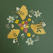 My project for course: Basic Botanical Pressing Techniques. Arts, Crafts, Fine Arts, Collage, DIY, Floral, and Plant Design project by KB Konieczka - 03.27.2023