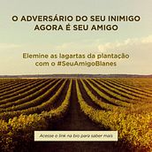 Meu projeto do curso: Copywriting: princípios da redação publicitária. Advertising, Marketing, Cop, writing, Creativit, and Content Writing project by Everton Barboza - 03.26.2015