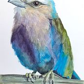 Mi proyecto del curso: Acuarela artística para ilustración de aves . Ilustrasi tradisional, Lukisan Cat Air, Gambar Realistis & Ilustrasi Naturalistik proyek oleh María Fernanda Rivera Lozano - 03.29.2023