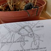 Meu projeto do curso: Diário ilustrado. Traditional illustration, Sketching, Drawing, Sketchbook & Ink Illustration project by Chico Milk - 03.29.2023