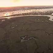 Naturalez somos todos. Een project van  Documentairefotografie y Film, video en televisie van Alejandro Baquero Benítez - 30.03.2023