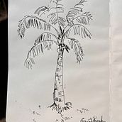 Tree Sketch on paper with BIC pen. Un progetto di Bozzetti di Emerset Farquharson - 10.01.2023
