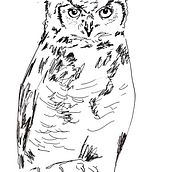 Owl Sketch on paper with BIC pen. Un progetto di Bozzetti di Emerset Farquharson - 17.12.2022