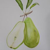 Mon projet du cours : Illustration botanique réaliste : évadez-vous dans la nature. Painting, Watercolor Painting, Botanical Illustration, and Naturalistic Illustration project by ketterercecile - 03.30.2023