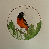 Acuarela con detalles en filigrana y toques metálicos: Oropendola de Baltimore. Traditional illustration, Painting, Watercolor Painting, Botanical Illustration, Naturalistic Illustration, and Decorative Painting project by Jorge Diez Recio - 03.31.2023