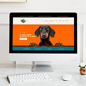 Creación de una tienda online DACHER BOUTIQUE - http://www.dacherboutique.com.mialias.net/. Un progetto di Informatica, Marketing, Web design, Web development, Marketing digitale, E-commerce, Sviluppo No-Code e Business di monicaabcn - 31.03.2023