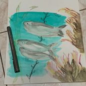 Mi proyecto del curso: Ilustración de universos marinos en acuarela Ein Projekt aus dem Bereich Traditionelle Illustration, Malerei, Aquarellmalerei und Naturalistische Illustration von Ann Gordón - 01.04.2023
