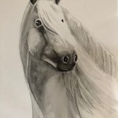 My project for course: Expressive Animal Portraits in Watercolor. Projekt z dziedziny Trad, c, jna ilustracja, Malowanie akwarelą, R, sunek realist, czn, Ilustracja naturalist i czna użytkownika Nicola Andrew - 01.04.2023