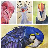 Watercolor birds . % dancing_brush_of_kata tarafından hazırlanan Geleneksel illüstras, Ve on projesi - 04.01.2023