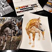 My project for course: Expressive Animal Portraits in Watercolor. Traditional illustration, Naturalistic Illustration, Watercolor Painting, and Realistic Drawing project by jborrelli99 - 04.11.2023