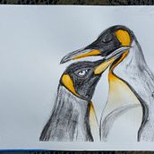 My project for course: Animal Illustration with Charcoal and Ink. Fine Arts, Drawing, Ink Illustration, and Naturalistic Illustration project by Cindy Faulkner - 04.02.2023