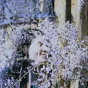 Mi proyecto del curso: Retrato fotográfico intimista. Een project van Fotografie, Portretfotografie,  Fotografische verlichting, Artistieke fotografie e Interieurfotografie van Juan Alarcon Villalobos - 02.04.2023