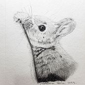 Mi proyecto del curso: Dibujo naturalista artístico a lápiz. Un progetto di Disegno a matita, Disegno, Disegno artistico e Illustrazione naturalistica di Adriana Peña - 31.03.2023