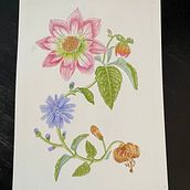 Mi proyecto del curso: Acuarela realista para composiciones botánicas. Un proyecto de Ilustración tradicional, Pintura, Dibujo, Pintura a la acuarela e Ilustración botánica de Marie Mol - 04.04.2023