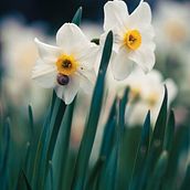 My project for course: Beginner’s Photography: Basic Camera Use and Theory. Photograph, Digital Photograph, and Photographic Composition project by evgenia_resh - 04.04.2023