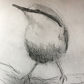 Tonal values of a nuthatch Ein Projekt aus dem Bereich Traditionelle Illustration, Aquarellmalerei, Realistische Zeichnung und Naturalistische Illustration von Jan Slade - 04.04.2023