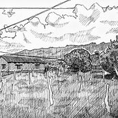 Guatemala, Quiché. Traditional illustration project by Daniel Torres - 04.30.2022