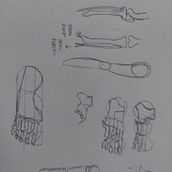 Mi proyecto del curso: Dibujo anatómico de extremidades, manos y pies. Un progetto di Belle arti, Bozzetti, Disegno a matita, Disegno, Disegno di ritratti, Disegno realistico, Disegno artistico, Sketchbook, Disegno anatomico e Illustrazione con inchiostro di Luis Rosero - 04.04.2023