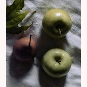  E.N.G.E.L EARTH NATURE GOLDIE EXOTIC LIFE. Photograph, Art Direction, Br, ing, Identit, Product Photograph, Instagram Photograph, Social Media, Mobile Photograph & Instagram project by Tania Itzel - 04.05.2023