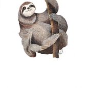Oso perezoso. Un progetto di Illustrazione tradizionale di danielazambranoalvarez - 05.04.2023