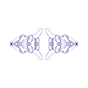 HANDS. Un progetto di Design e Illustrazione tradizionale di laura.matteo - 01.04.2017