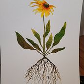 This is from another water colour course. Projekt z dziedziny Trad, c i jna ilustracja użytkownika Corina Reid - 05.04.2023