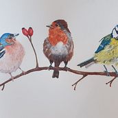 My project for course: Artistic Watercolor Techniques for Illustrating Birds. Traditional illustration, Watercolor Painting, and Naturalistic Illustration project by Melanie Burden - 04.06.2023