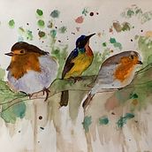 My project for course: Artistic Watercolor Techniques for Illustrating Birds. Ilustração tradicional, Pintura em aquarela, Desenho realista e Ilustração naturalista projeto de chandratreyr - 06.04.2023