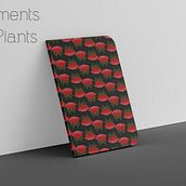 Colección libretas "Ornaments and plants". Een project van Traditionele illustratie,  Ontwerp, Grafisch ontwerp, Productontwerp, Vectorillustratie,  Creativiteit,  Tekening, Tekening met potlood,  Boekbinding, Digitaal ontwerp,  Botanische illustratie, Retailontwerp, Digitale tekening,  Digitaal schilderij, Sketchbook, Redactionele illustratie, Digitaal productontwerp y Ontwerp van briefpapier van catalina alvarez - 06.04.2023