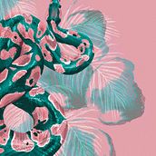 Jungle illustrations. Traditional illustration project by Paola Giuntini - 04.06.2023