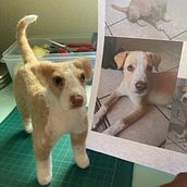 Mi proyecto del curso: ZEUS. Un progetto di Needle felting di liborrayoburgos - 07.04.2023