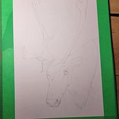 Mon projet du cours : Techniques expérimentales d’aquarelle pour débutants. Traditional illustration, Fine Arts, Watercolor Painting, and Naturalistic Illustration project by ju_michaud_88 - 04.02.2023