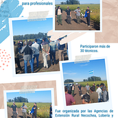 Historia: La Ventura, Día de Campo . Un progetto di Design dell’informazione e Graphic design di Jorge Barreto - 08.04.2023