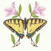 My project for course: Naturalistic Illustration in Watercolor and Gouache. Fine Arts, Painting, Watercolor Painting, Botanical Illustration, Naturalistic Illustration, and Gouache Painting project by sarah.parson - 04.10.2023