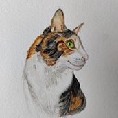 Ink and Watercolor sketches. Traditional illustration project by Constanza Panarello - 04.10.2023