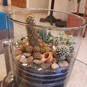 Mi proyecto del curso: Arte vegetal: crea tu propio terrario abierto. Un projet de Design d'intérieur, Pa, sagisme, Décoration, DIY , et Art floral et végétal de angelasa20 - 11.04.2023