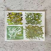 Meu projeto do curso: Araucárias Paisagens de sonhos com aquarela: pintura com luz . Lukisan, Dan Lukisan Cat Air proyek oleh Helyne Mendes Evaristo - 04.11.2023