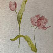 Botanicals . Traditional illustration project by Kate Scott - 04.12.2023