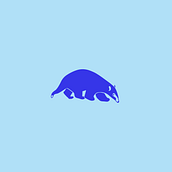 Meu projeto do curso: Branding tipográfico: como criar logos memoráveis do zero. Un progetto di Br, ing, Br, identit, Tipografia e Design di loghi di Caroline Salim - 12.04.2023