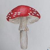 Grzyb. Un proyecto de Ilustración tradicional de Hania G - 12.04.2023