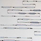 My project for course: Analog Data Visualization for Storytelling Ein Projekt aus dem Bereich Grafikdesign, Informationsdesign, Infografik und Traditionelle Illustration von Nina - 12.04.2023