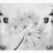 Il mio progetto del corso: Fotografia concettuale con luce naturale. Portrait Photograph, Photographic Lighting, and Fine-Art Photograph project by Manuela Donato - 04.14.2023