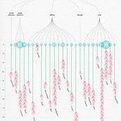 Biodiversity funds, protected areas, and species threatened with extinction. Ein Projekt aus dem Bereich Grafikdesign, Informationsdesign, Interaktives Design und Infografik von Swathi Singh - 14.04.2023