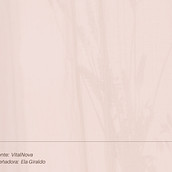 Canva de 0 a 100: crea diseños de forma profesional. Br, ing, Identit, Graphic Design, Web Design, and Social Media Design project by danielagiraldo.m - 04.09.2023