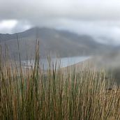 Lagunas de Ozogoche. Photograph project by Leonardo Zangronis - 04.11.2023