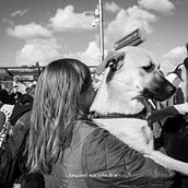 1.365.a grayscale journey.. Projekt z dziedziny Fotografia, Doradztwo kreat, wne i Zarządzanie projektowaniem użytkownika luismirasalvador - 17.04.2023